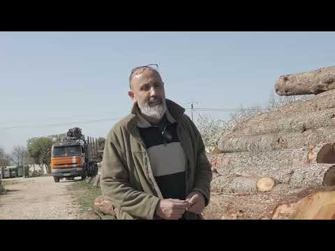 La Bernadette scie du cèdre et du cyprès, l'art de faire avec la ressource locale !!