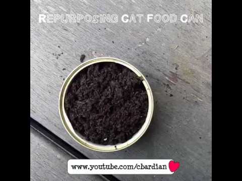 Repurposing Cat Food Can