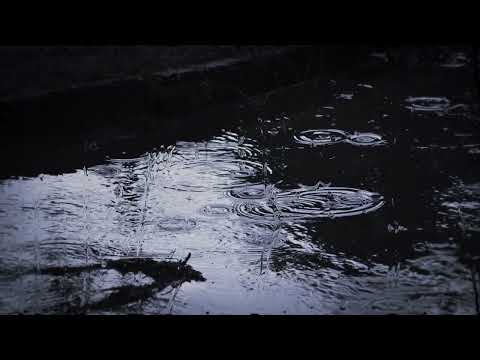 KENETLENMİŞSİN KALBİME - Levent Akın • Cover