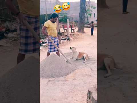funny dog reacting🐕 😂😂😂