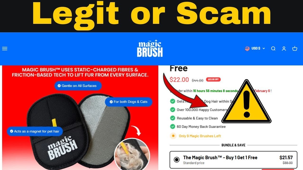 Magic Brush Review – Does It Really Remove Pet Hair or Is It Just Hype?