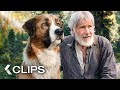 THE CALL OF THE WILD Clips & Trailer (2020)