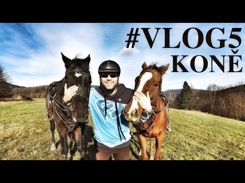 Michal točí #VLOG5 - KONĚ jako ENERGIE