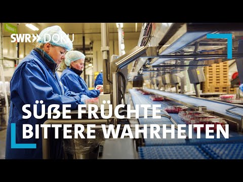 , title : 'Beeren aus dem Ausland importiert: Süße Früchte – Bittere Wahrheiten  | SWR Doku'