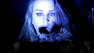 STEVE ADAMYK BAND - Swallow You Whole (Feat. Mike Krol) Dirtnap Records 2016