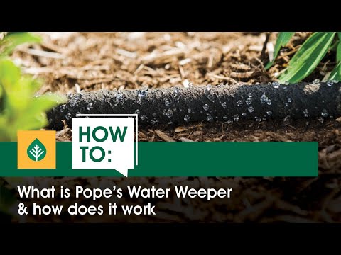 What is Pope's Water Weeper & how does it work