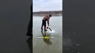 Frozen Lake Hack 🧊💨