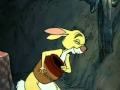 Winnie The Pooh Meets Rabbit