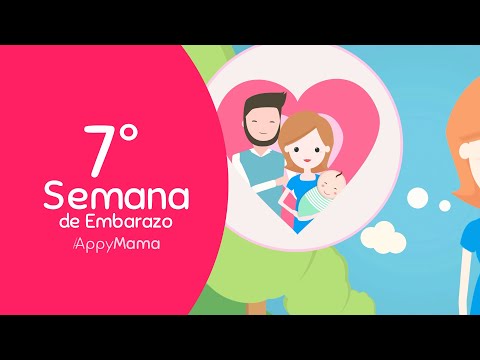 Semana 7 de #Embarazo |  Descansa todo lo que puedas