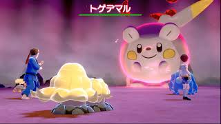 ポケモン　大マックス　アドベンチャー
