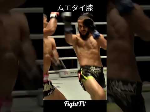 ＃ムエタイ膝蹴り　＃FightTV　