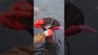 Download lagu Found Siren Head Underwater While Magnet Fishing mp3