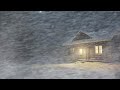 Extremely Strong Wind Sounds For Sleeping Heavy Blizzard Loud Blowing Snow Sounds To Relax Study