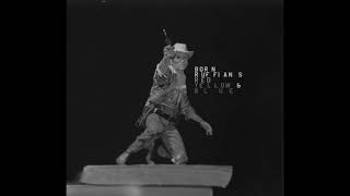 Born Ruffians - Barnacle Goose Acoustic ver.