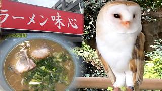 【福岡デート】バードウォッチング＆絶品福岡ラーメン巡り｜夫婦でおでかけVLOG