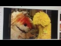 Closing To All Day With Elmo DVD