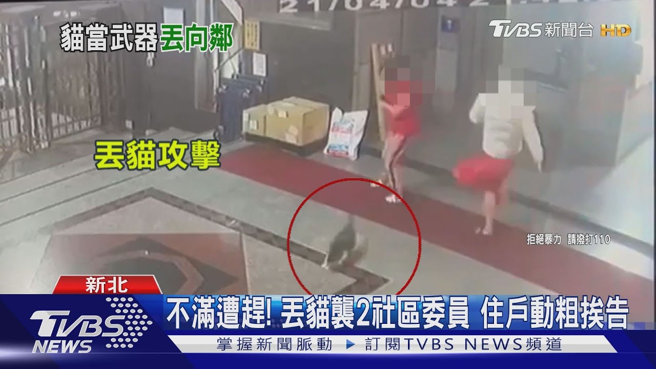 不滿遭趕!丟貓襲2社區委員 住戶動粗挨告