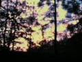 Wrong Turn 3 Trailer