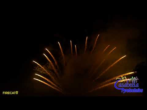 Dominator 15s Z Shape Variegated Mine w Gold Comet