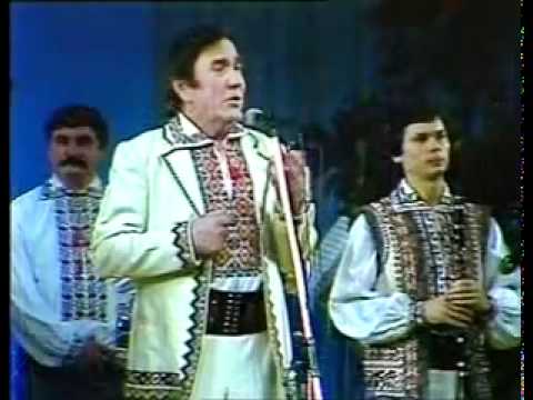 Teodor Negara - Doctore