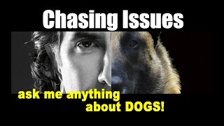 Stop Chasing Cats and Sheep - Dog Training Video - Robert Cabral
