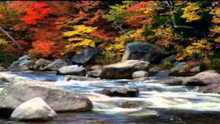 Celtic circle - A place among the stones