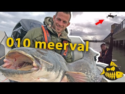 Big game in Rotterdam & de dood van een drone