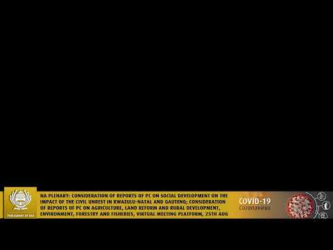 National Assembly PLENARY (HYBRID),  25th August 2021