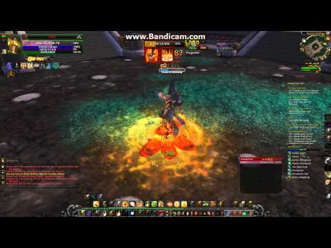 World of Warcraft Niuzao Celestial Blessings Challenge Paladin PoV