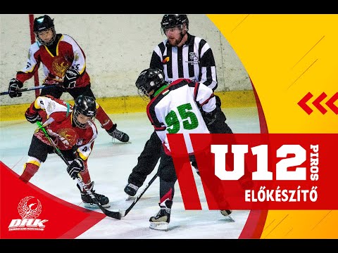 U12 296 DHK B- Lehel HC