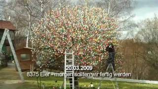 preview picture of video 'Der Ostereierbaum in Saalfeld (9200 Eier)'