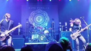 SICK PUPPIES - STICK TO YOUR GUNS - &quot;LIVE&quot; =NEW SONG= THE GROVE OF ANAHEIM 3-11-2017