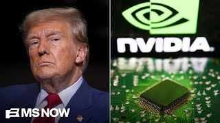 'Makes no sense.' Trump reversal on Nvidia chips to China contradicts WH policy