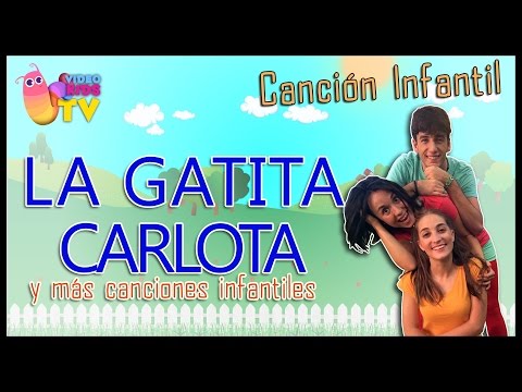 🐈 LA GATITA CARLOTA  ♫♪ BAILA CON LOS MUSIKIDS 🐈