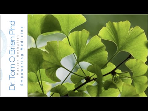 Ginkgo Biloba health benefits Video