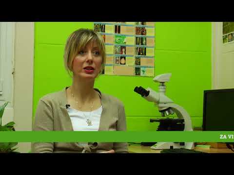 Reč struke ep.147 23.01.2018. - Gajenje i zaštita zelene salate