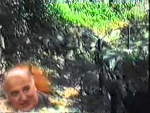 Pagine bianca Erbareti 23_11_87