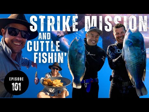 STRIKE MISSION to Find BLUE BONE | Cuttle Fish | CATCH and COOK - Ep 101
