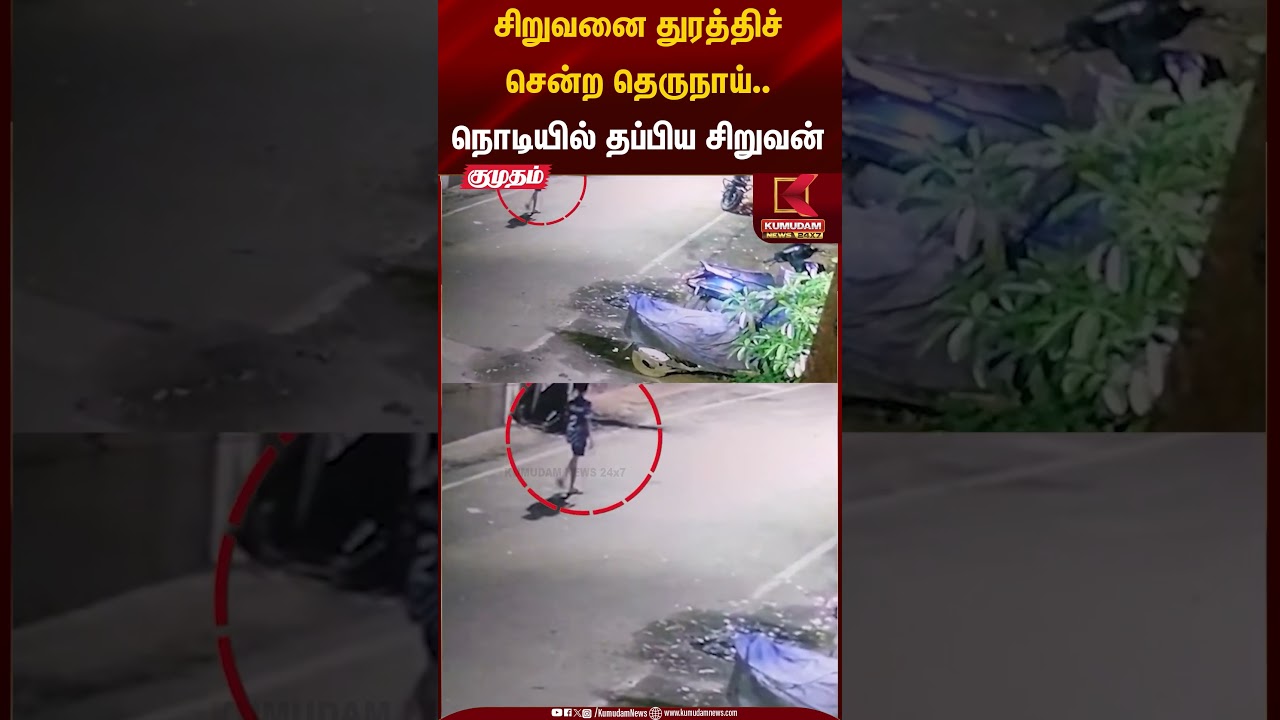 சிறுவனை துரத்திச் சென்ற தெருநாய்..நொடியில் தப்பிய சிறுவன் | Chennai | Dog Bite | Kumudam News