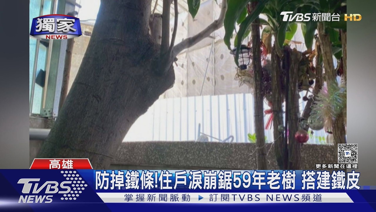 影音/獨/受災戶淚崩!鋸59年老樹 搭鐵皮防鐵條砸落 建商:陸續和解