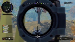 bo4てすと