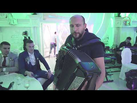 Aca Cergar, Joca King & Zeljko Belegis - Demonstracija sile