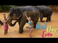 Full Day At Thailand S BEST Elephant Sanctuary IT GOT MUDDY