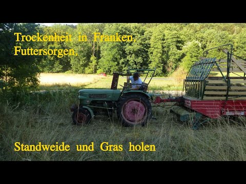 Dürre in Franken: Futtersorgen und Gras holen mit dem Fendt Fix 2 und Fella Peggy Ladewagen