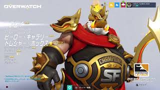 初めてのオーバーウォッチ