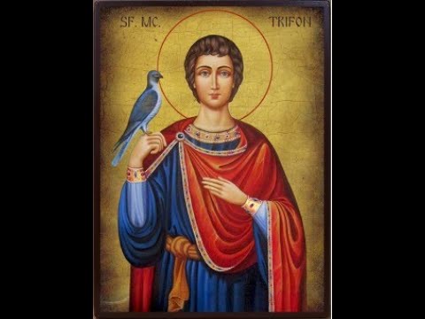 Rugaciune catre Sfantul Mucenic Trifon