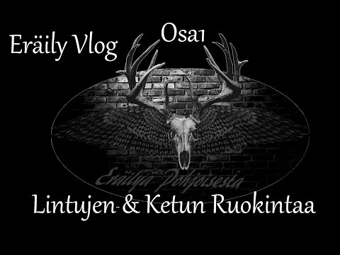 , title : 'Eräily Vlog Osa1 : Lintujen- & Ketun Ruokintaa'