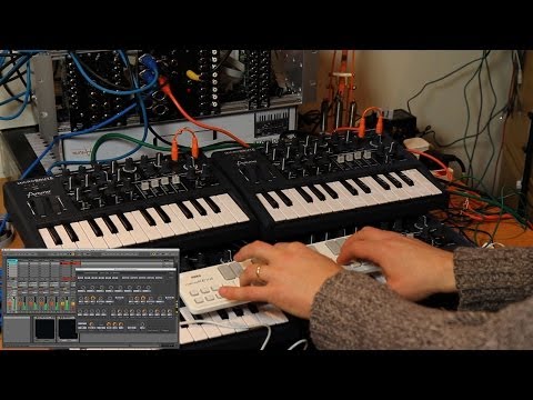The Polyphonic MicroBrute