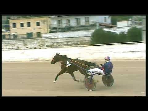 Trotto 31/01/2020 - 5ª corsa