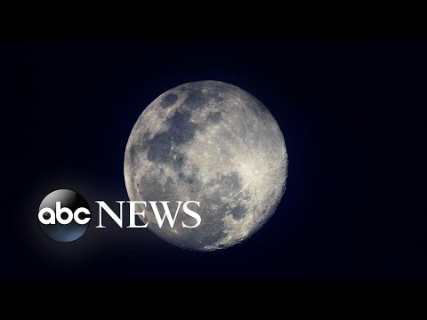 Super Pink Moon, coronavirus, Wisconsin primary: World in Photos, April 7